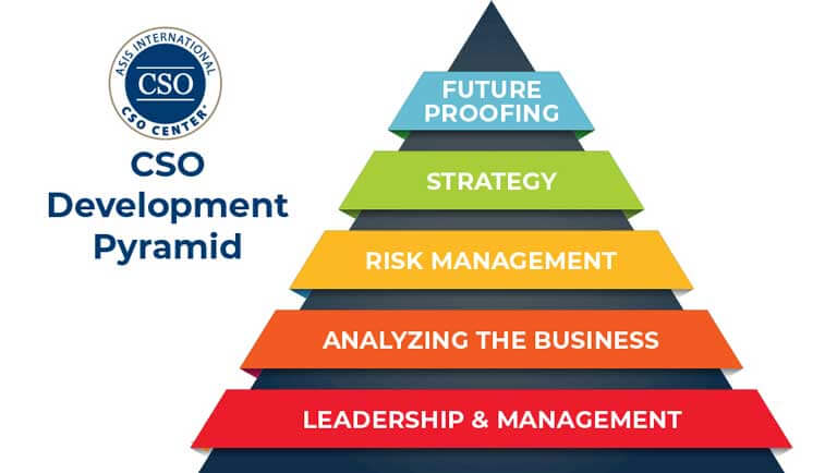 cso-development-pyramid-white.jpg