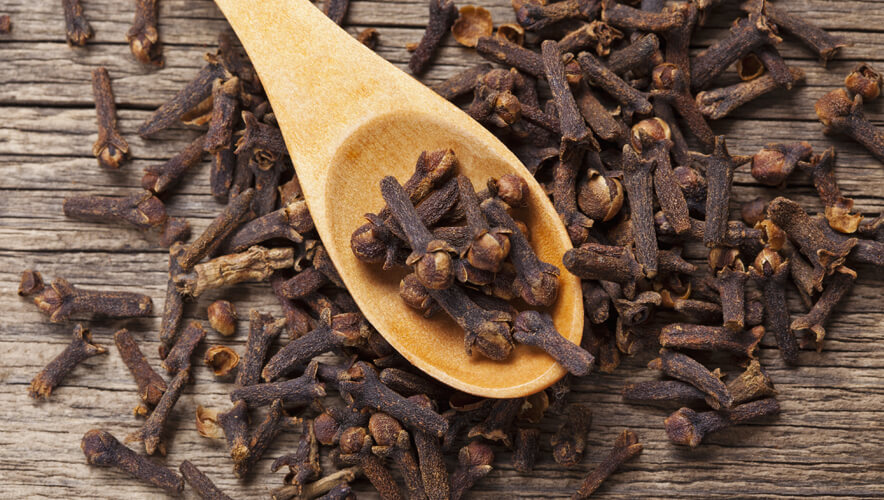 clove tree clove spice