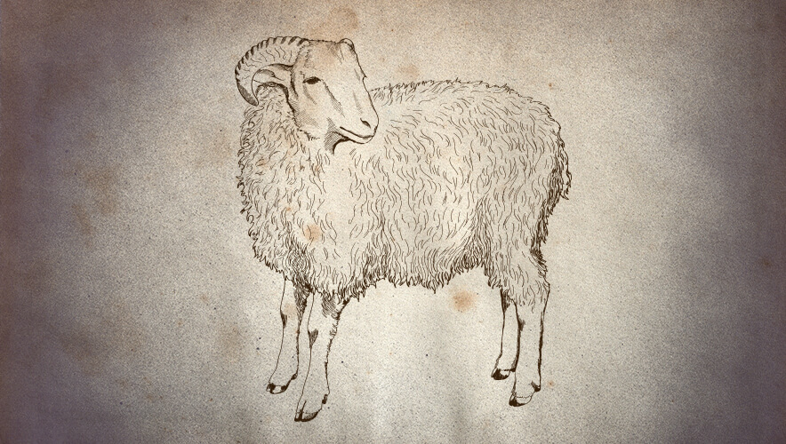 sheepskin parchment fraud