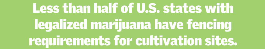 Less-than-half-of-U.S.-states-with-legalized-marijuana-have-fencing-requirements-for-cultivation-sites.png
