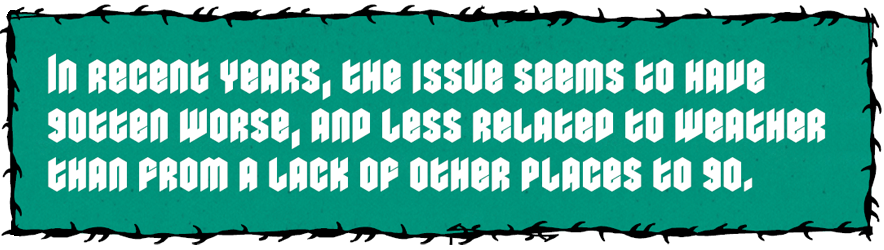 In-recent-years-the-issue-seems-to-have-gotten-worse-and-less-related-to-weather-than-from-a-lack-of-other-places-to-go.png