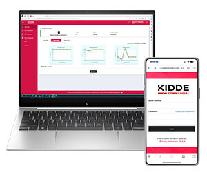 kes-mobile-desktop-mobile-300x250.jpg