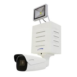 dd2-v2-300x300.jpg