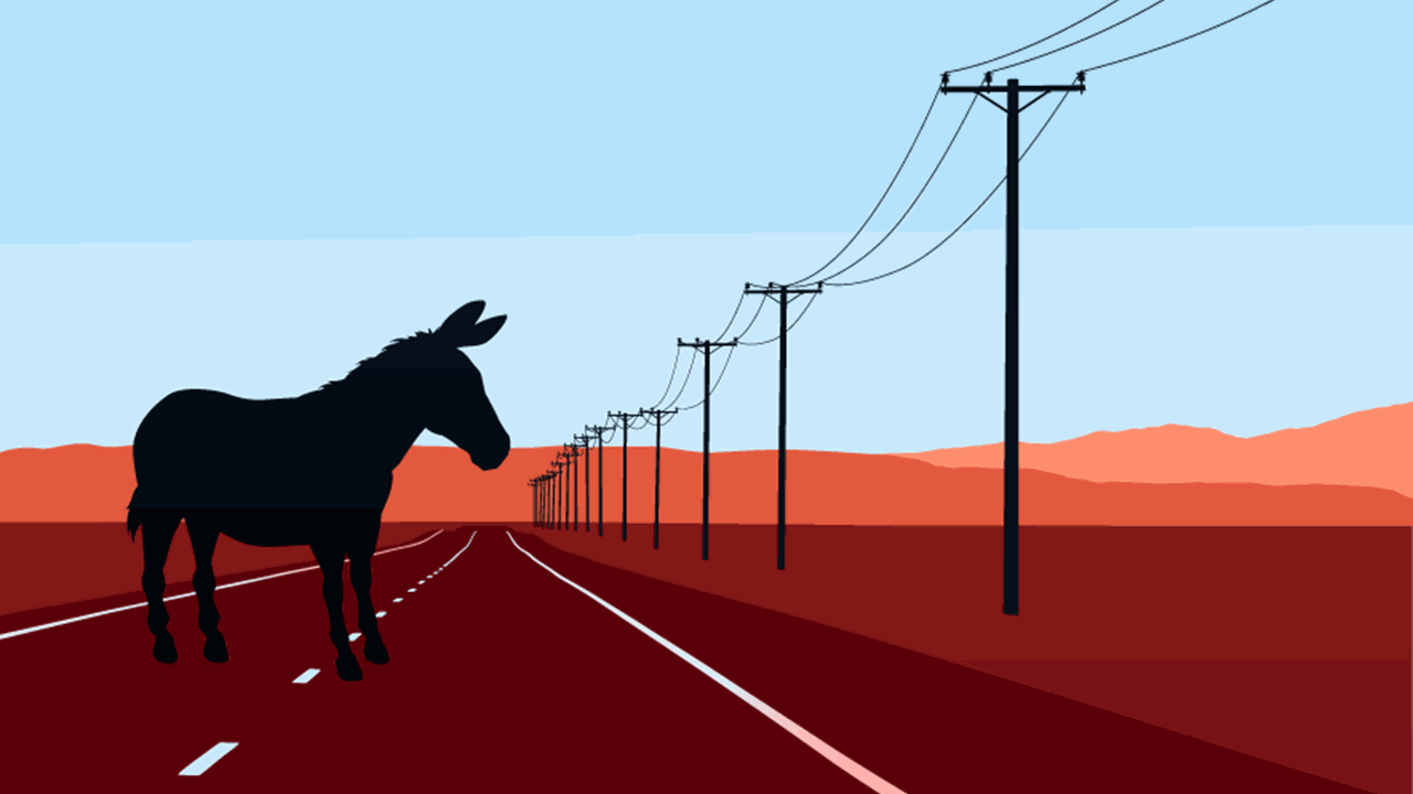 Silhouette of a donkey standing on a desert road with power lines stretching into the distance against a backdrop of mountains and a gradient sky.