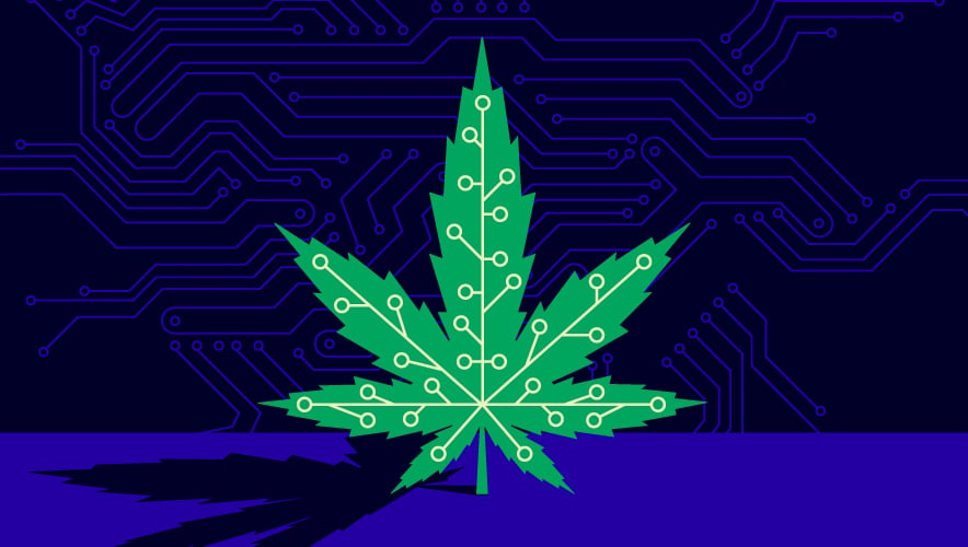 0422-SecTec-Gates-cannabis-technology-team.jpg