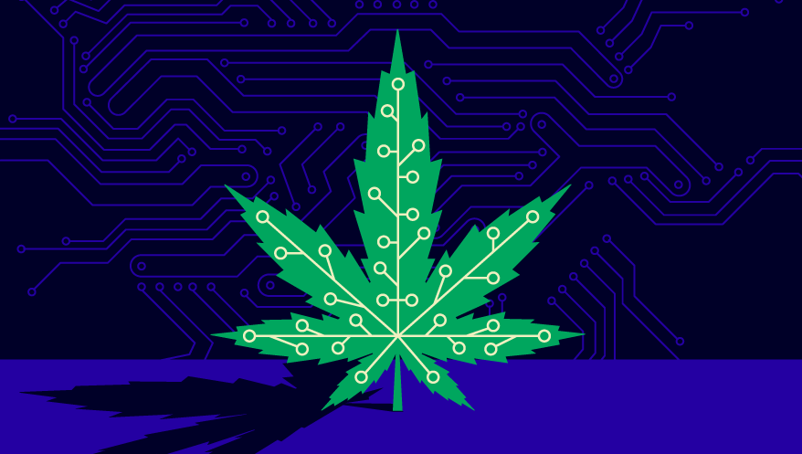 High Potential: The Marijuana Market Embraces Technology