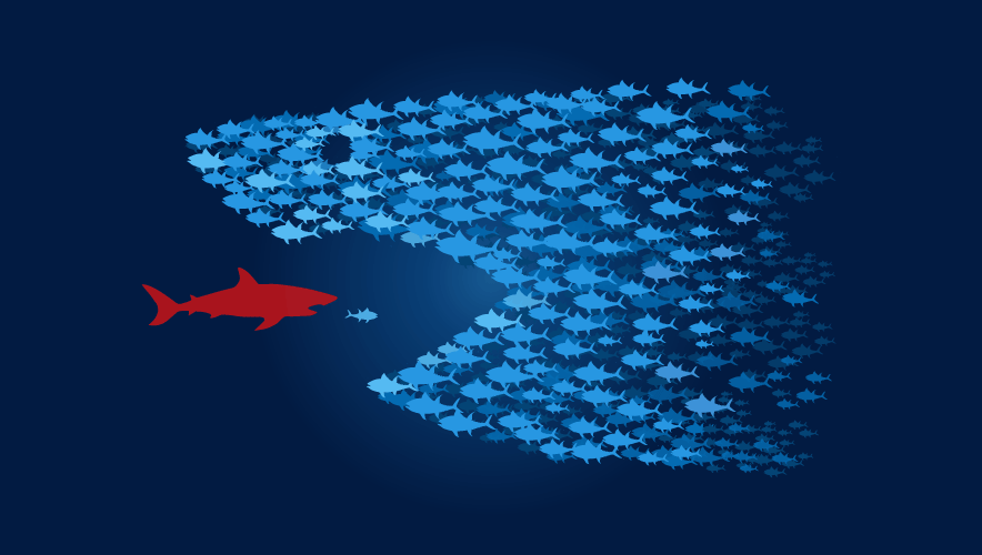 Illustration of a school of fish in the pattern of a shark swallowing a smaller red shark that is chasing a smaller fish. 