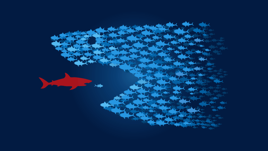 Illustration of a school of fish in the pattern of a shark swallowing a smaller red shark that is chasing a smaller fish.